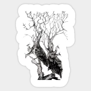 The Peacock Tree Sticker